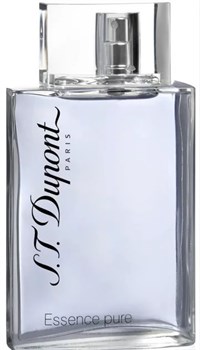 DUPONT ESSENCE men test 100ml edt б/употр 3386461011241 - фото 45212