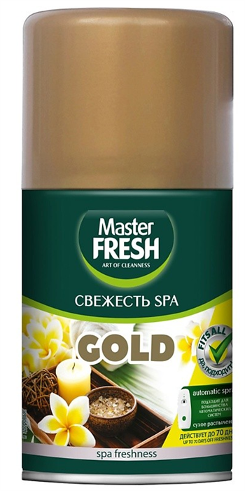 MASTER FRESH См.блок Освежитель воздуха СВЕЖЕСТЬ СПА 250 мл 4620739980266