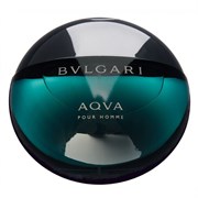 BVLGARI AQVA men  test 100ml edt