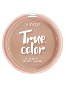 Divage Пудра Компактная True Color № 05
