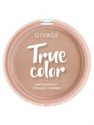 Divage Пудра Компактная True Color № 05