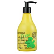 Hair Evolution Шампунь D-TOX Super детокс 250 мл Hair Evolution Шампунь D-TOX Super детокс 250 мл