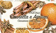 FLORINDA Мыло Cannella e Agrumi & Корица и Цитрус 100 г FLORINDA Мыло Cannella e Agrumi & Корица и Цитрус 100 г