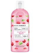 BIELENDA ECO SORBET Вода Мицеллярная МАЛИНА Успокаивающая 500 мл BIELENDA ECO SORBET Вода Мицеллярная МАЛИНА Успокаивающая 500 мл