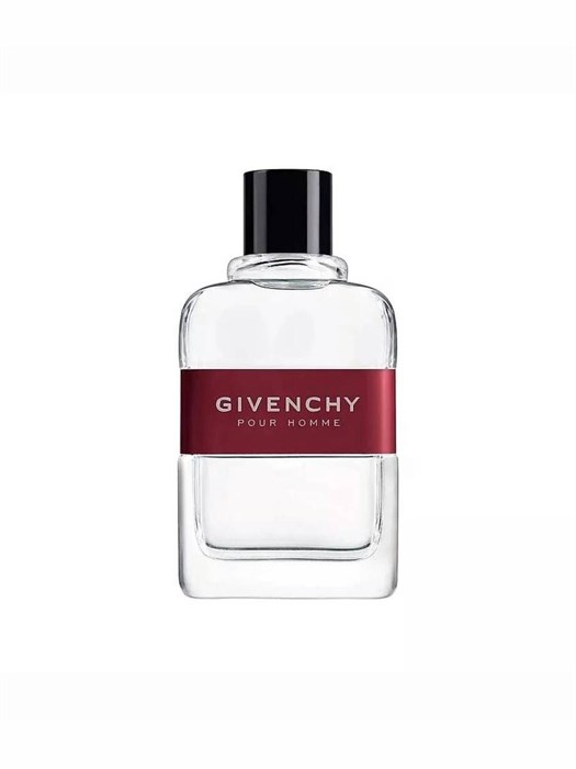 GIVENCHY POUR HOMME 100ml edt 3274871301253