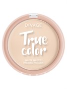 Divage Пудра Компактная True Color № 01