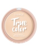 Divage Пудра Компактная True Color № 02