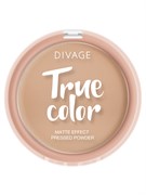 Divage Пудра Компактная True Color № 04