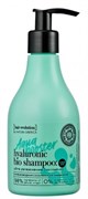 Hair Evolution Шампунь AQUA BOOSTER 250 мл 4630079562848
