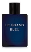 DILIS LE GRAND BLEU men 100 мл edt