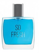 DILIS SO FRESH men 100 мл edt