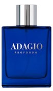 DILIS ADAGIO PROFONDO men 100 мл edp 4810212017309