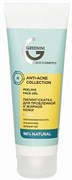 GREENINI ANTI-ACNE COLLECTION Пилинг-скатка для проблемной и жирной кожи 75 мл 4640145083085
