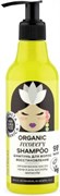 PO Hair Super Food Шампунь Organic shampoo Recovery 250 мл 4630056021528